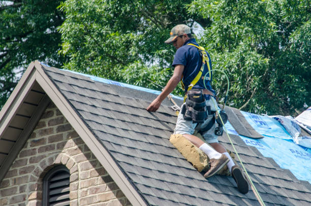 Best Roof Leak Repair  in Whittingham, NJ